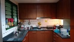 Signature Park (D21), Condominium #117284332